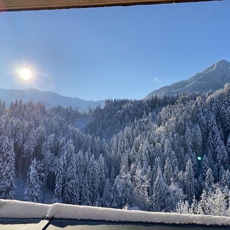 Wohnung Staufenblick Und Wohnung Firstblick Dornbirn Buitenkant foto