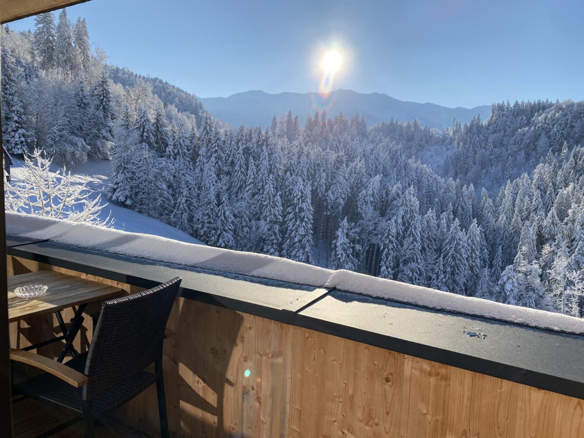 Wohnung Staufenblick Und Wohnung Firstblick Dornbirn Buitenkant foto